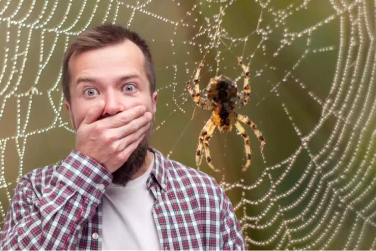 Hombre sorprendido cubriéndose la boca con la mano frente a una telaraña con una araña grande