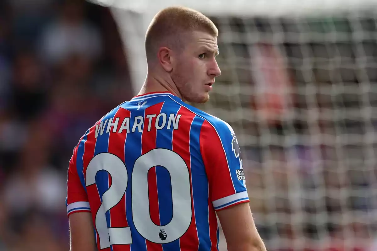 Soccer player wearing the Crystal Palace uniform with the number 20 on the back during a match Soccer player wearing the Crystal Palace uniform with the number 20 on the back during a match