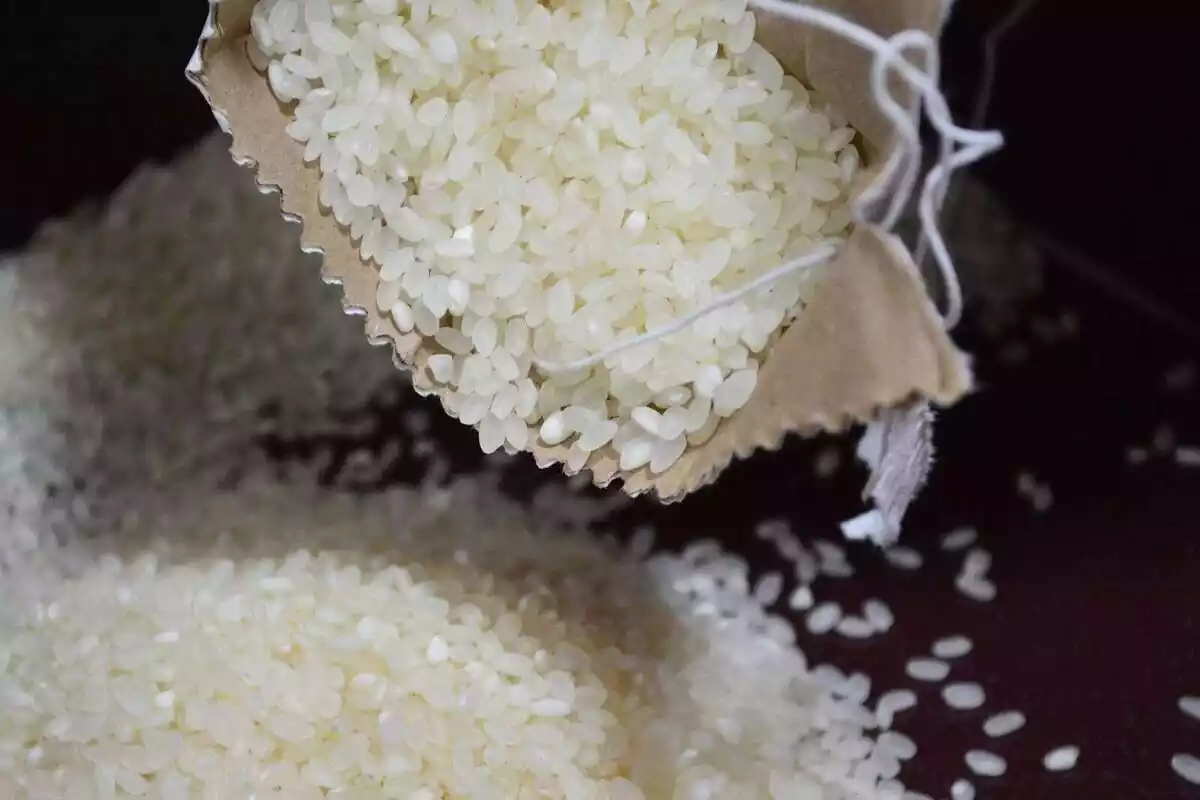 Granos de arroz crudos dentro de una bolsa y cayendo a una superficie Granos de arroz crudos dentro de una bolsa y cayendo a una superficie