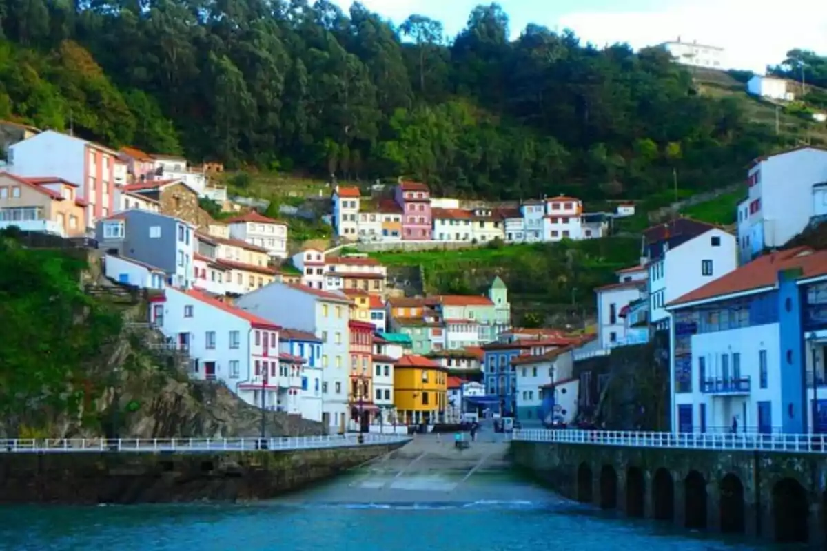 Casas coloridas en una ladera junto a un puerto con agua azul y un fondo de árboles verdes.