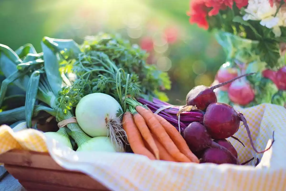 December fruits and vegetables December fruits and vegetables