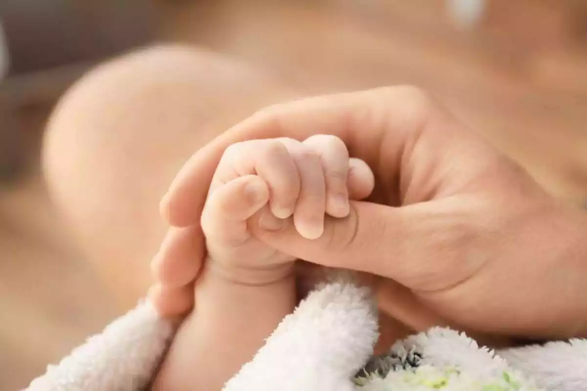 Plano detalle de la mano de un bebé cogiendo la mano de una persona adulta Plano detalle de la mano de un bebé cogiendo la mano de una persona adulta