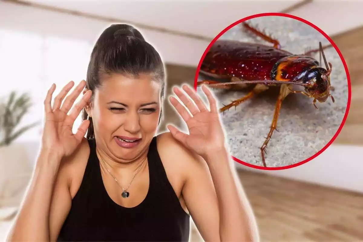 Montaje con una mujer poniendo cara de asco y un círculo con una cucaracha
