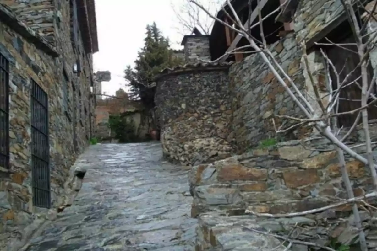 Callejón empedrado entre casas de piedra con árboles sin hojas. Callejón empedrado entre casas de piedra con árboles sin hojas.